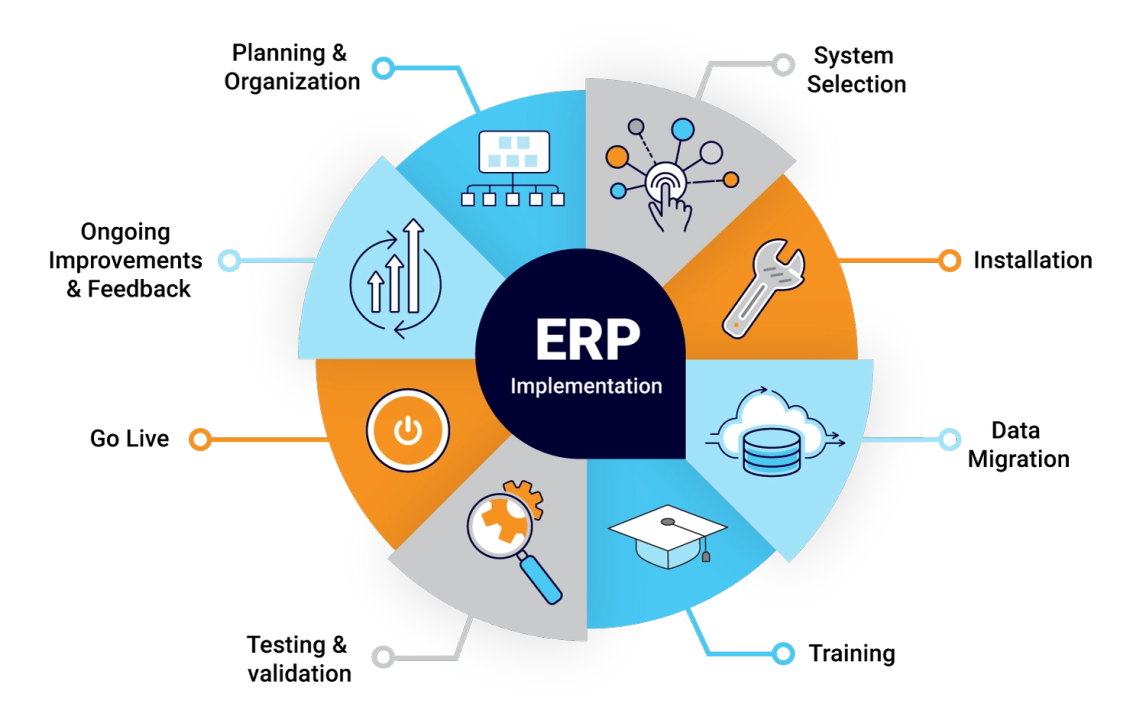 ERP implementation lifecycle showing planning, installation, data migration, testing, training, and go-live phases